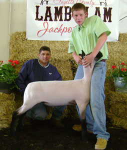 Harrell Club Lambs Winners